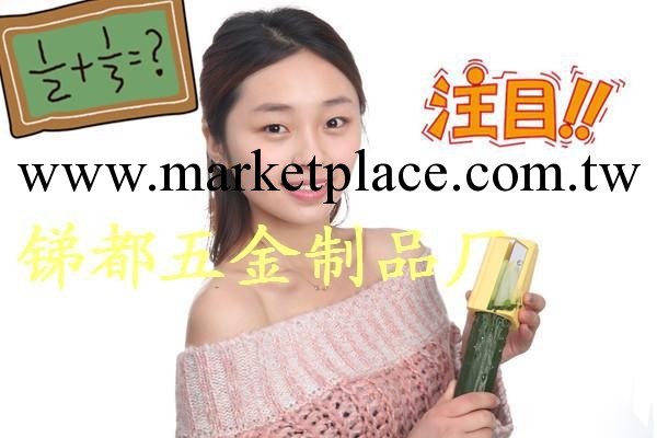 黃瓜切片器 青瓜美容刀 黃瓜美容韓國美容 品質保證 廠傢 送錄音工廠,批發,進口,代購