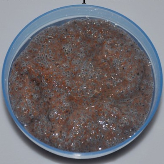 廠銷爆款面膜粉 10g軟膜粉 美白提亮補水小海藻顆粒+玫瑰籽面膜工廠,批發,進口,代購