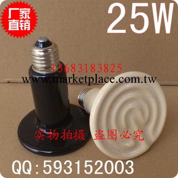 寵物爬蟲用品陶瓷加熱燈加熱器材加熱燈泡 平底加熱燈25w/50w/75w工廠,批發,進口,代購