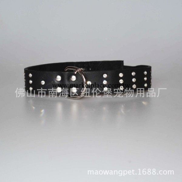 貓王寵物用品 新款真皮狗帶 黃牛皮頸帶護毛型項圈 CD1365工廠,批發,進口,代購