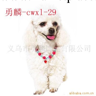 供應寵物飾品 寵物項鏈 寵物用品 珍珠項鏈 水晶項鏈工廠,批發,進口,代購