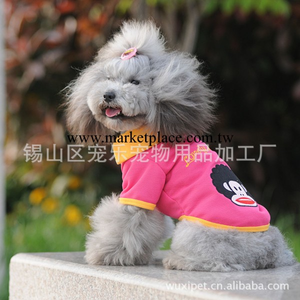 寵物服裝服飾狗衣服春秋裝 POLO衫 體恤衫工廠,批發,進口,代購