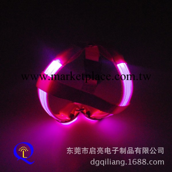 淘寶爆款 LED發光狗胸背帶繩 7個顏色 寵物用品批發 代發代理工廠,批發,進口,代購