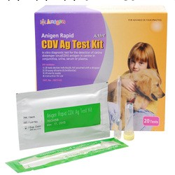 批發韓國安捷犬瘟病毒抗原測試紙CDV     寵物用品批發工廠,批發,進口,代購