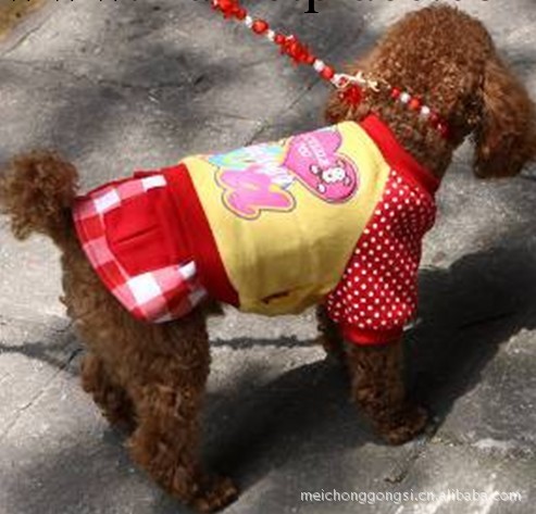 批發寵物用品/寵物服裝/彩虹糖果秋冬裝 狗衣服 1件起工廠,批發,進口,代購