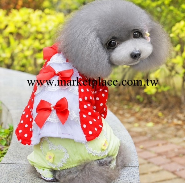 供應浙江寵物用品 寵物衣服批發 新款春夏裝狗狗衣服工廠,批發,進口,代購