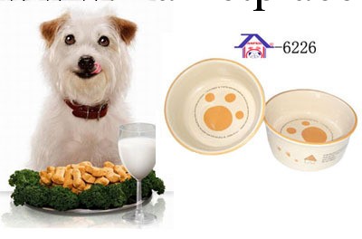 安芬寵物用品 狗用品 寵物防滑陶瓷碗 6224貓碗 狗碗 犬碗工廠,批發,進口,代購