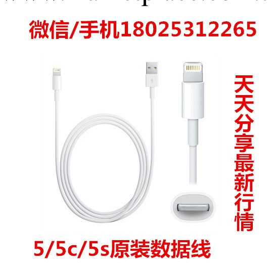 蘋果 apple iPhone 5 5S 5C iPad mini lightning原裝正品數據線工廠,批發,進口,代購