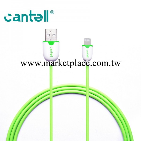高檔蘋果數據線 5代Ip5/5C數據線 Lightning ipad mini 雙色新款工廠,批發,進口,代購