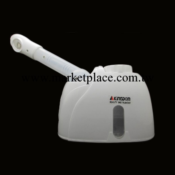 單熱美容噴霧機 蒸臉器面部加濕器排毒補水傢用美容機工廠,批發,進口,代購