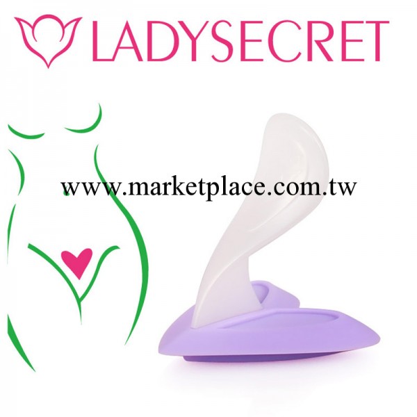 【LS】私密比基尼剃刀模版私處整形剃毛刀陰毛修剪工具-心形 diy0工廠,批發,進口,代購