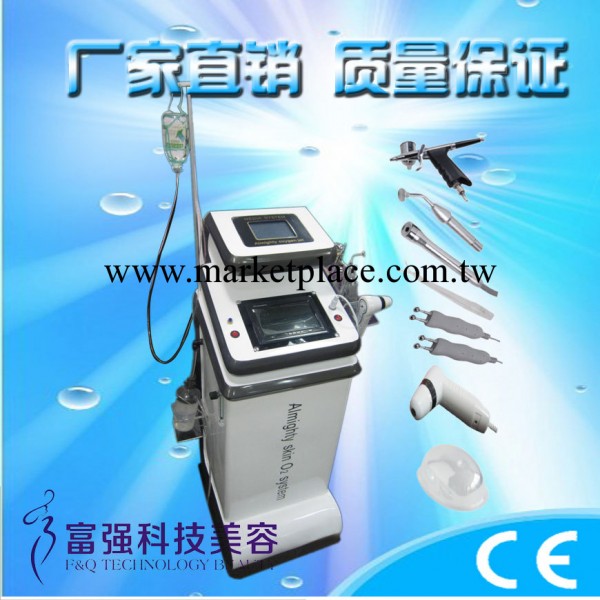 美容機器註氧機雙屏註氧機2013最新款多功能全能細胞活膚機補水機工廠,批發,進口,代購