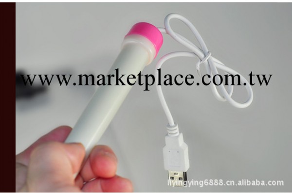 高級USB加熱棒 充氣娃娃專用電動加溫棒 廠傢直銷工廠,批發,進口,代購