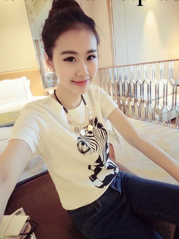 2014新款短袖T恤  韓版個性斑馬先生寬松大碼打底衫 女式T恤批發・進口・工廠・代買・代購