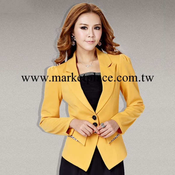 秋季女式小西裝修身韓版時尚休閒OL長袖大碼西服秋裝外套女潮新款工廠,批發,進口,代購