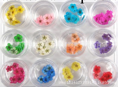 美甲產品 12色幹花 立體幹花 美甲飾品 指甲飾品 12色大花 飾品工廠,批發,進口,代購