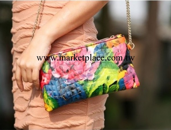 2014新款 時尚款女小包 塗鴉花朵真皮單肩斜挎兩用包 宴會手拿包工廠,批發,進口,代購