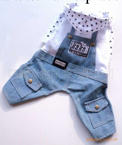 廠傢直供狗衣服寵物服裝/廣州/北京/上海/寵物用品批發市場工廠,批發,進口,代購