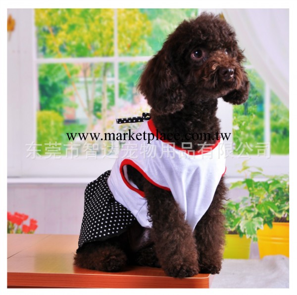 寵物衣服春夏 寵物春夏裝 狗狗衣服夏季 公主裙 高檔寵物用品工廠,批發,進口,代購