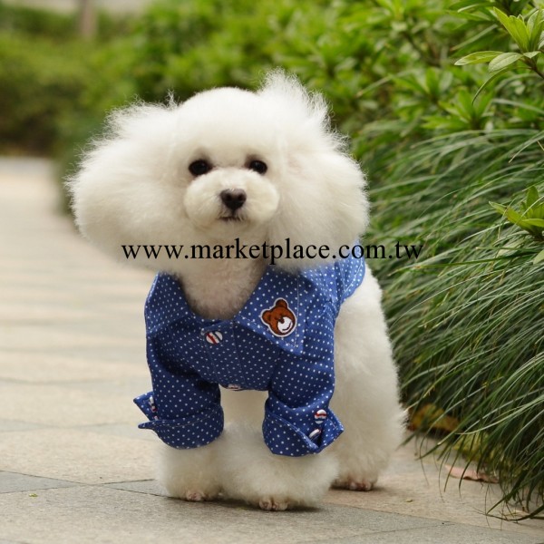 2013新款 夏款衣服 寵物用品 狗衣服 寵物衣服 全棉圓點牛仔襯衫工廠,批發,進口,代購