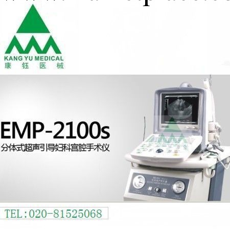 供應 EMP-2100s 分體式超聲引導婦科宮腔手術機工廠,批發,進口,代購