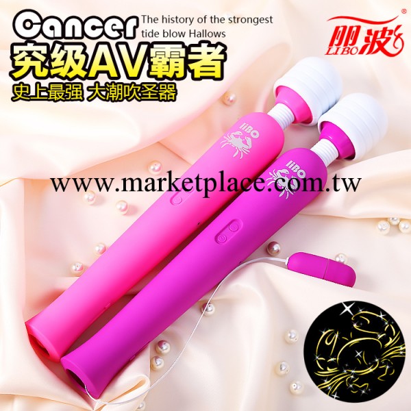 成人性酷樂保健女用自慰器具星座 USB充電巨蟹座跳蛋+AV棒批發工廠,批發,進口,代購