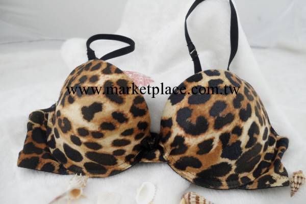 工廠直銷維多利亞的秘密上薄下厚經典豹紋胸罩小量批發945工廠,批發,進口,代購