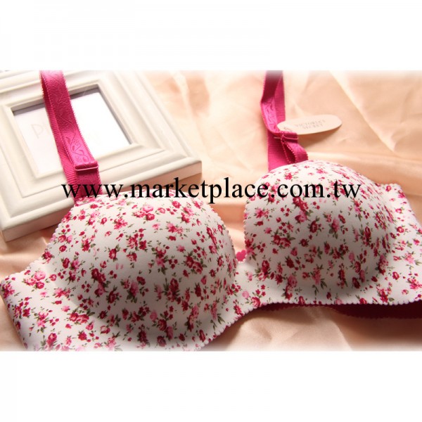 維多利亞VS秘密 一片式無痕聚攏胸罩田園風碎花可愛少女內衣工廠,批發,進口,代購