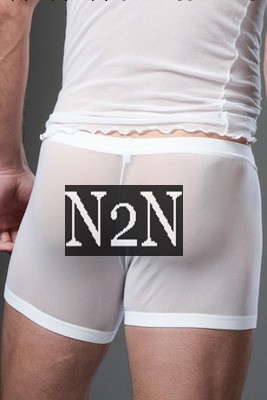 【N2N】廠傢直銷男士內褲囊帶性感紗網低腰平角褲 男式情趣內褲工廠,批發,進口,代購