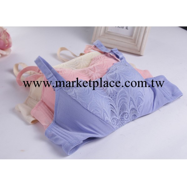 9003#抺胸 鏤空蕾絲花邊式裹胸  女士防走光胸罩內衣批發工廠,批發,進口,代購