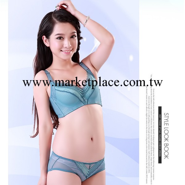 黛安芬時尚自然簡約性感聚攏防外擴新款胸罩套裝發T6015工廠,批發,進口,代購