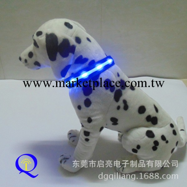 OEM廠傢定做 LED發光寵物項圈 夜光項圈 閃光寵物帶 活動促銷用品工廠,批發,進口,代購