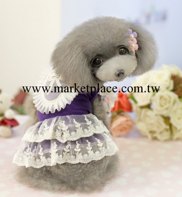 2014新款 寵物衣服 春夏 刺繡公主裙 狗衣服 寵物用品 泰迪批發工廠,批發,進口,代購
