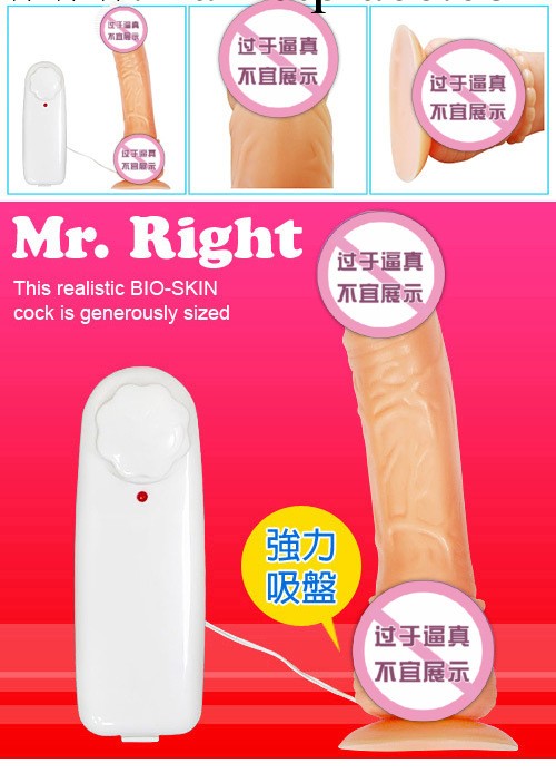 夏奇 Mr Right--真人倒模仿真陽具陰莖多頻震動自慰按摩棒工廠,批發,進口,代購