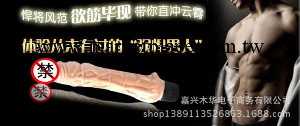 女用器具情趣玩具品牌仿真陽具霸王槍 成人情趣用品震動刺激型出口工廠,批發,進口,代購