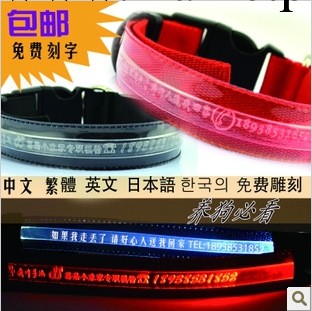 爆款LED寵物發光項圈 刻字定做狗牌閃光狗項圈 狗鏈狗帶 狗圈用品工廠,批發,進口,代購