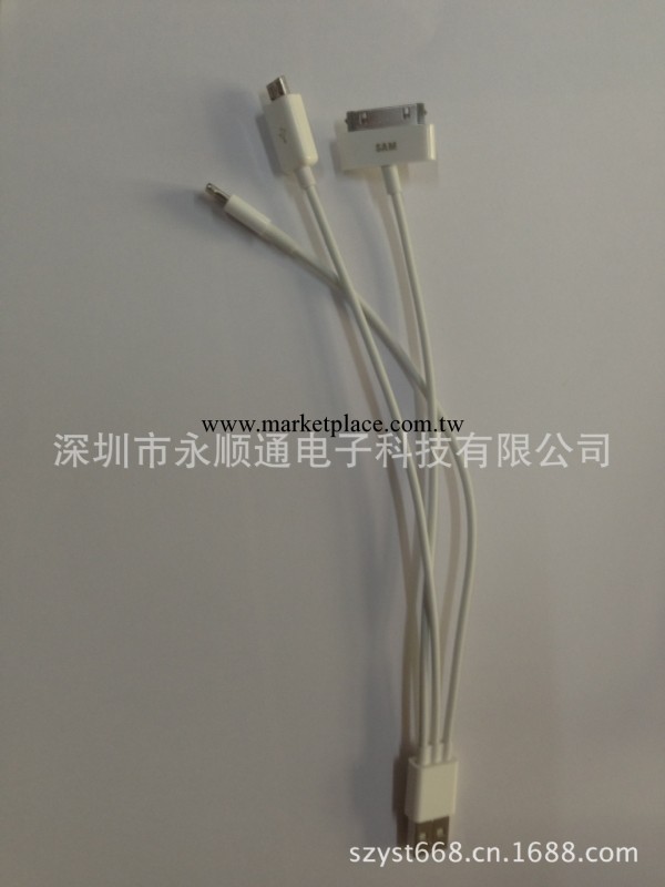 註塑蘋果轉接頭，高檔IPHONE 5線材，光面，亮面蘋果轉接頭工廠,批發,進口,代購