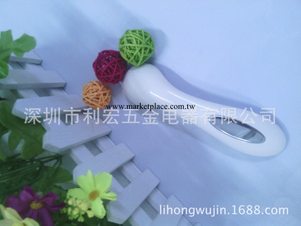 離子導入機,臉部按摩器,瘦臉洗臉機,祛皺美容機批發・進口・工廠・代買・代購