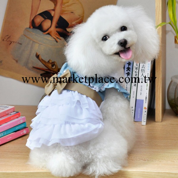 2013 新款 狗衣服 寵物服裝 泰迪衣服 狗裙子 寵物水洗牛仔裙工廠,批發,進口,代購