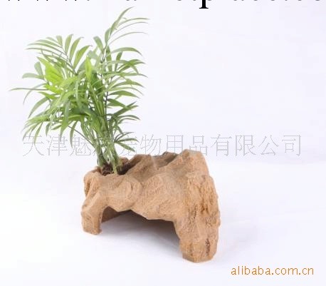 魅族專業爬蟲用品 寵物洞穴 爬蟲躲避洞穴D05-M工廠,批發,進口,代購
