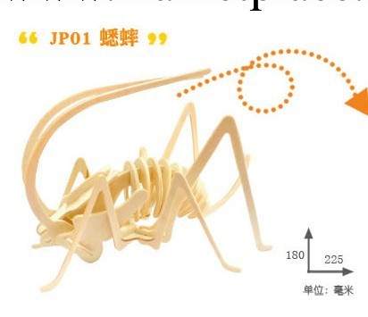 新款3D木質立體拼圖 木制模型 益智DIY玩具 若態科技 JP201工廠,批發,進口,代購