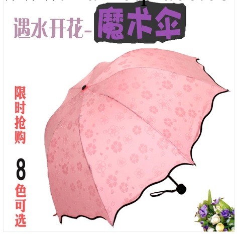 爆款遇水開花三折傘防紫外線太陽傘 拱形雨傘廠傢直銷創意款工廠,批發,進口,代購