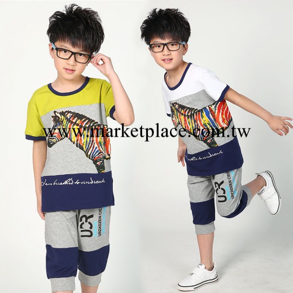 2014夏款童裝  新款男童套裝全棉 斑馬圖案童套裝 品牌童裝工廠,批發,進口,代購