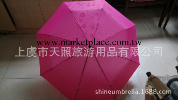 廠傢批發 創意雨傘 遇水開花傘 神奇雨傘 遇水現花折疊傘工廠,批發,進口,代購