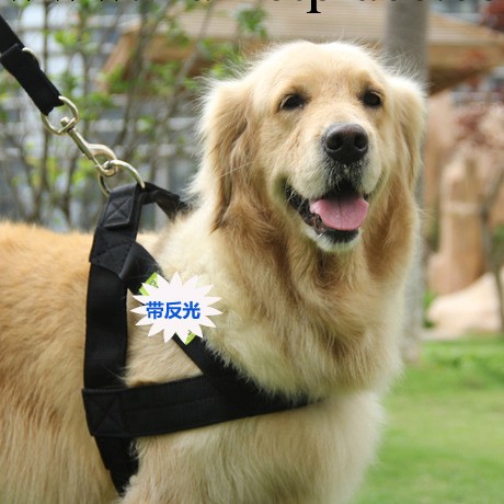 寵物用品批發 反光寵物牽引繩 大型犬中型犬狗繩子 狗鏈牽引帶工廠,批發,進口,代購