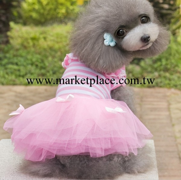 2014寵物裙子新款 寵物服裝春夏 狗衣服 中小型犬裙子 寵物用品工廠,批發,進口,代購