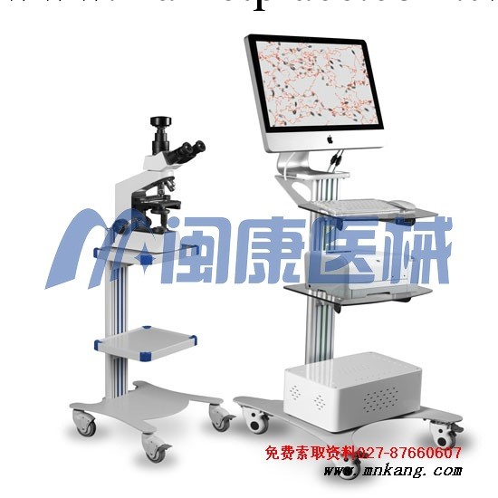 網絡版SW-3703精子分析機工廠,批發,進口,代購