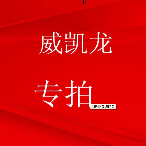 威凱龍（解放南）無款號鏈接 廣州女鞋一件代發代銷批發・進口・工廠・代買・代購