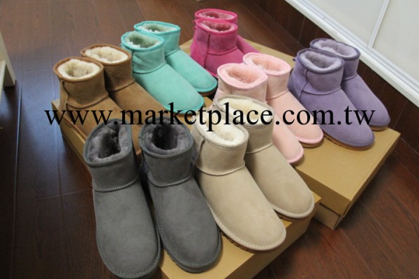 A級澳洲 純羊皮一體雪靴 頂級羊毛 保暖靴女短靴棉鞋5845批發・進口・工廠・代買・代購