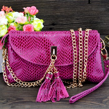 U尚2014新款頭層蛇紋牛皮手拿包女士鏈條手提女包真軟皮特價小包工廠,批發,進口,代購